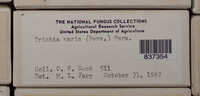 Image Associated With the Occurence